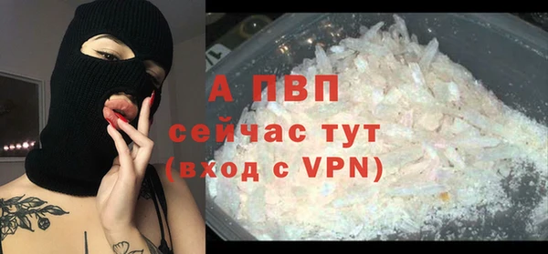 хмурый Гусь-Хрустальный