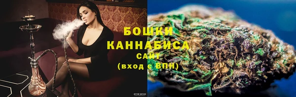 хмурый Гусь-Хрустальный
