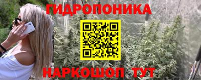 прущие грибы Рыбинск