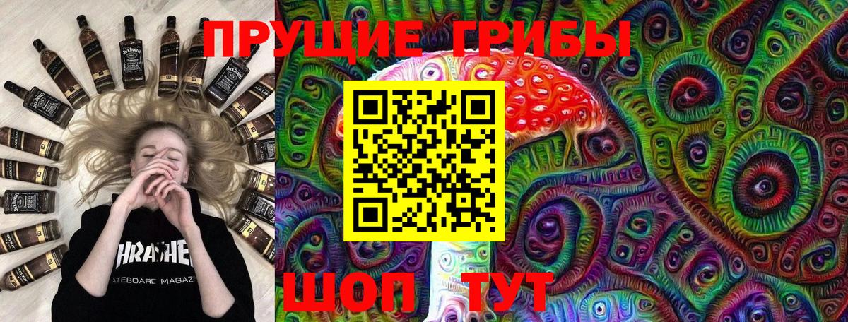 Псилоцибиновые грибы GOLDEN TEACHER Омск
